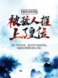 被追杀的我,被敌人推上了皇位阅读小说阅读