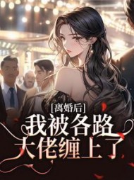 离婚后，我被各路大佬缠上了阅读小说阅读