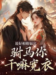 说好相敬如宾，驸马你干嘛宽衣阅读小说阅读