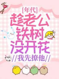 年代：趁老公铁树没开花，我先撩他阅读小说阅读