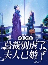 豪门虐爱：总裁别虐了，夫人已婚了祁愿小说阅读