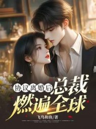 协议离婚后，总裁燃遍全球最新小说阅读