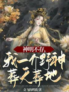 神明不存,我一介野神葬天葬地阅读小说阅读