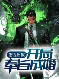 怒龙出狱开局奉旨成婚陈平安阅读小说阅读