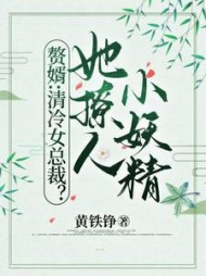 赘婿：清冷女总裁？她撩人小妖精小说阅读