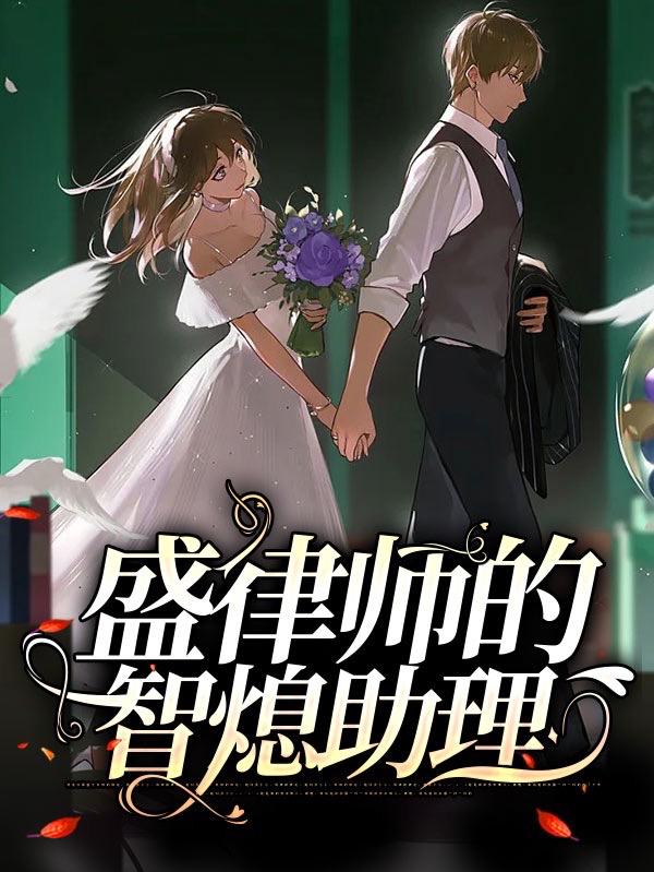 盛律师的智熄助理