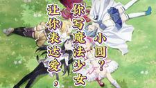 让你表达爱,你写魔法少女小圆完整版小说阅读