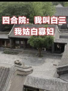 四合院:我叫白三我姑白寡妇阅读小说阅读