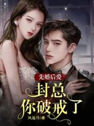 先婚后爱:封总,你破戒了阅读小说阅读