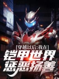 穿越以后,我在铠甲世界惩恶扬善完整版小说阅读
