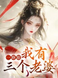 一睁眼我有三个老婆李天泽小说阅读