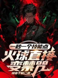 一秒一个技能点,火球直接变禁咒阅读小说阅读