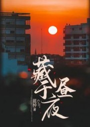 藏于昼夜大结局小说阅读