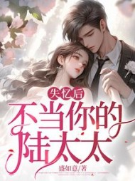失忆后，不当你的陆太太阅读小说阅读