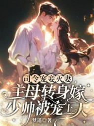 二嫁主母娇又软，民国少帅夜夜洗床单小说阅读
