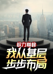权力巅峰:我从基层步步布局阅读小说阅读