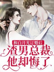 沈南风宋祁安小说阅读