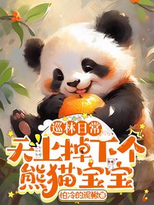 巡林日常：天上掉下个熊猫宝宝阅读小说阅读