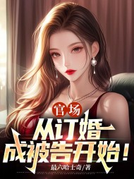 官场:从订婚成被告开始徐林文卿雪阅读小说阅读