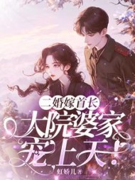 二婚嫁首长，大院婆家宠上天小说阅读