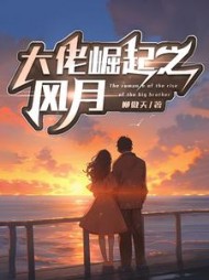 大佬崛起之风月阅读小说阅读
