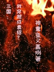 三国：我穿越成袁绍？小说阅读