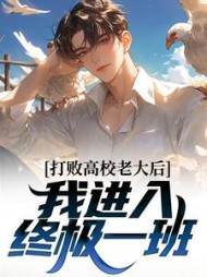 打败高校老大后,我进入终极一班阅读小说阅读