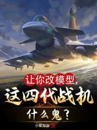 让你改模型，这四代战机什么鬼小说阅读