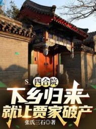 四合院：下乡归来就让贾家破产小说阅读