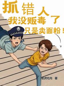 抓错人了，我没贩毒！只是卖面粉小说阅读
