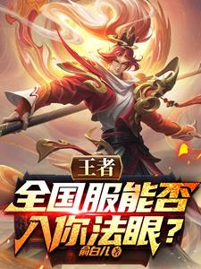 王者：全国服能否入你法眼？阅读小说阅读