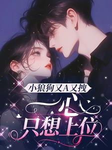 小狼狗又A又拽，一心只想上位阅读小说阅读