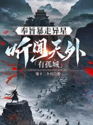 听闻天外有孤城小说阅读