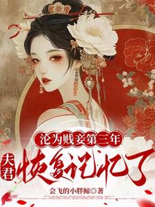 沦为贱妾第三年，夫君恢复记忆了阅读小说阅读