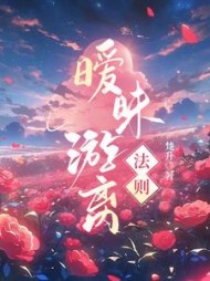 暧昧游离法则周汝正江弦月小说阅读
