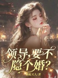 领导，要不隐个婚？小说阅读
