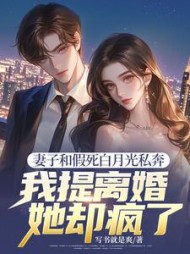 妻子和假死白月光私奔，我提离婚她却疯了阅读小说阅读