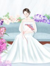 老婆大明星，我去看她的演唱会(浩然天下)阅读小说阅读