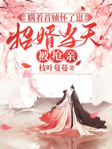 瞒着首辅怀了崽，招婿当天被抢亲最新小说阅读