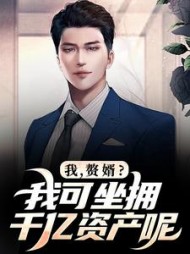 我，赘婿？我可坐拥千亿资产呢小说阅读