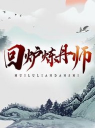回炉炼丹师小说阅读
