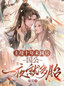 主母十年未圆房，国公一夜就多胎小说阅读