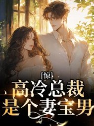 惊高冷总裁是个妻宝男时安小说阅读