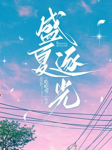 盛夏逐光阅读小说阅读