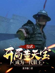 综武:开局董天宝,成为一代狠王小说阅读