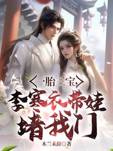 一胎三宝，李寒衣带娃堵我门小说阅读