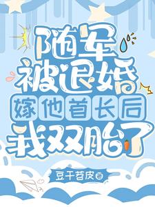 随军被退婚，嫁他首长后我双胎了阅读小说阅读