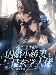 惊！墨少的闪婚小娇妻是玄学大佬阅读小说阅读