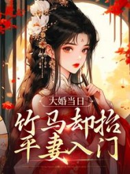 大婚当日，竹马却抬平妻入门小说阅读