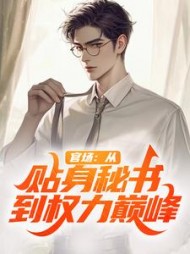 官场：从贴身秘书到权力巅峰！小说阅读